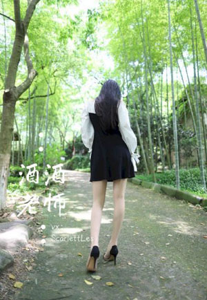 乘风2023在线观看免费完整版_DVD超清免费观看